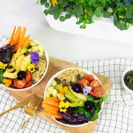 Summer salad with mixed colors pansies