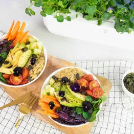 Summer salad with black pansies