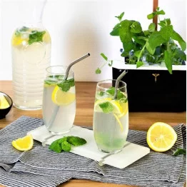 Mint Apple Lemonade