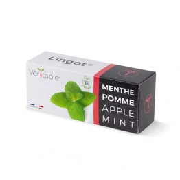 Lingot® Organic Apple Mint - Véritable® ready-to-use refill