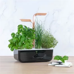 Potager Véritable SMART Black Copper avec quelques feuilles de basilic