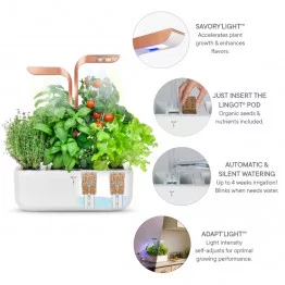 Principe de fonctionnement du potager Véritable® SMART White Copper - anglais