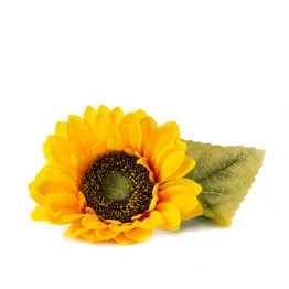 Fleur de Tournesol nain