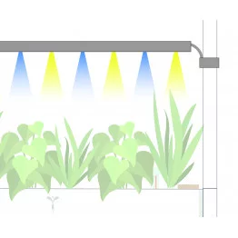 Eclairage LED - Gourmet - étage inférieur