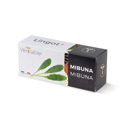 Mibuna Lingot