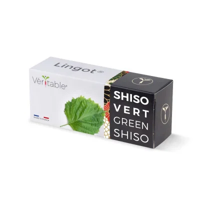 Green shiso Lingot®