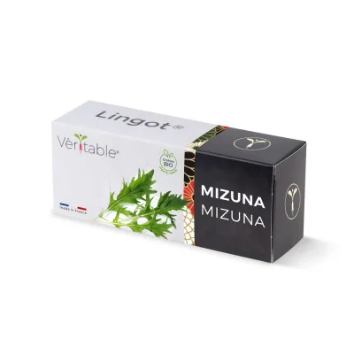 Mizuna Lingot® packaging