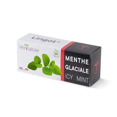 Etui Lingot® de Menthe Glaçiale