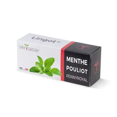 Etui Lingot® Menthe Pouliot