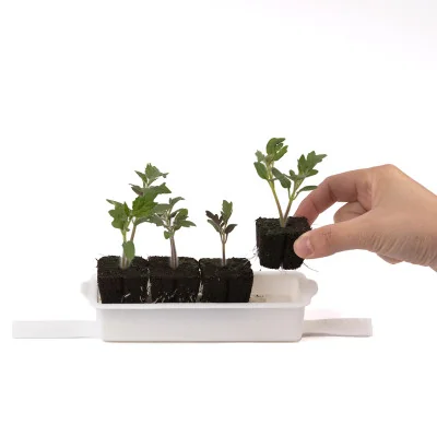 Seedling and microgreens baskets - with 4 growing cubes