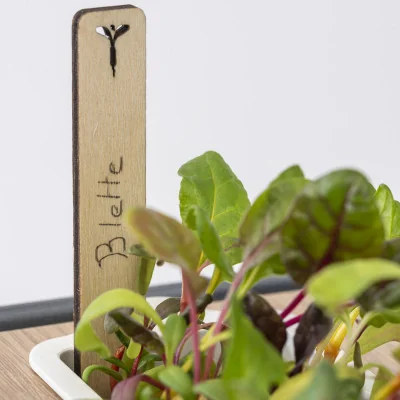 Etiquette de jardin dans Lingot de Blette - Zoom