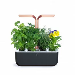 Potager Smart Copper