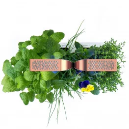 Potager Smart Copper