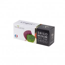 Two tone shiso Lingot®