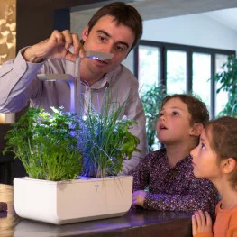 Introduce your children to plant growth!