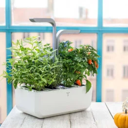 Genuine SMART garden in front of a window