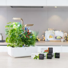 Le potager Véritable® CONNECT Moonlight Gold est une parfaite idée cadeau !