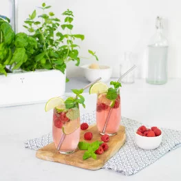 Glasses of organic raspberry, lime and Moroccan mint flavored water