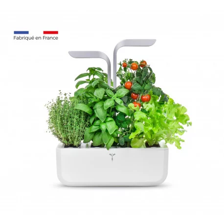 FLEUR DU BIEN Kit de jardin d'herbes aromatiques d'intérieur avec
