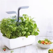 Veritable Smart Indoor Garden & Herb Grower, Growhouse & Growlight, Made in  France on Food52