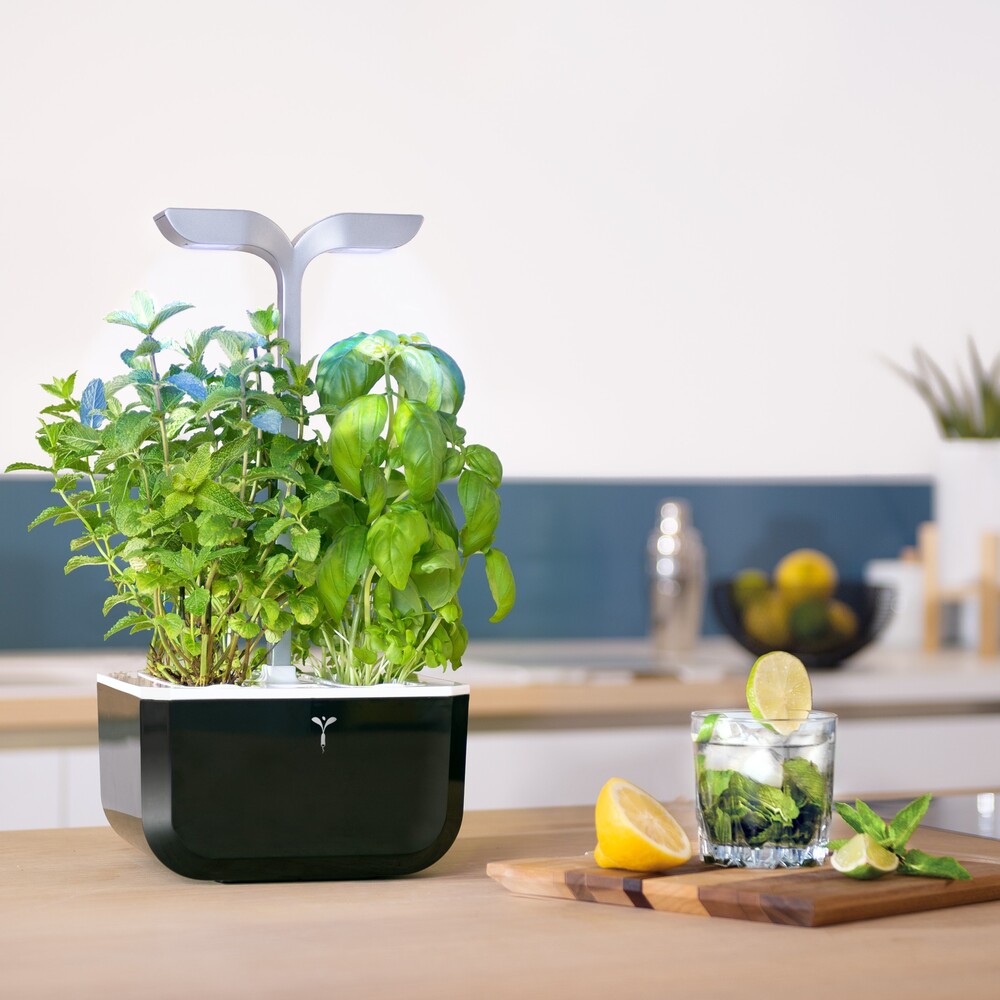 Profitez de l'élégance du potager Exky SMART Soft Black à prix réduit