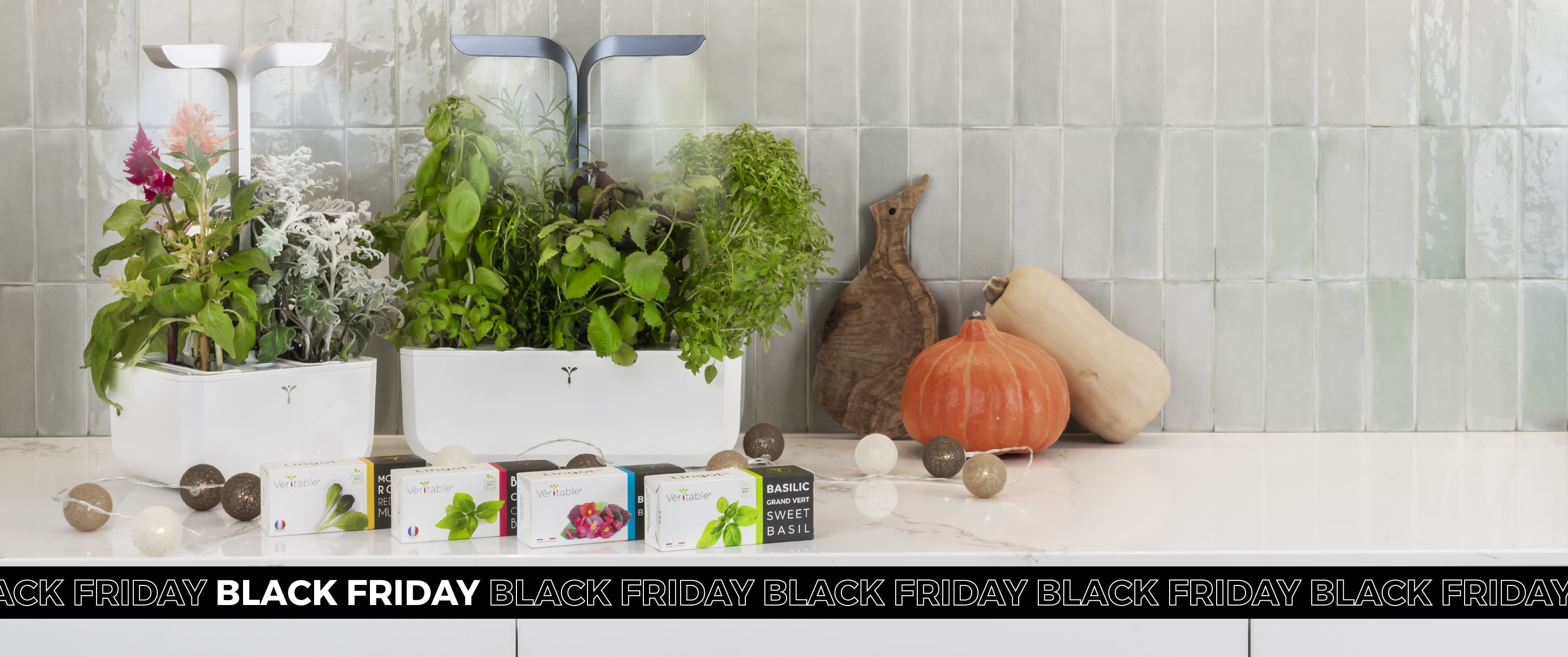 You won't find better prices on your vegetable garden than during Black Friday offers