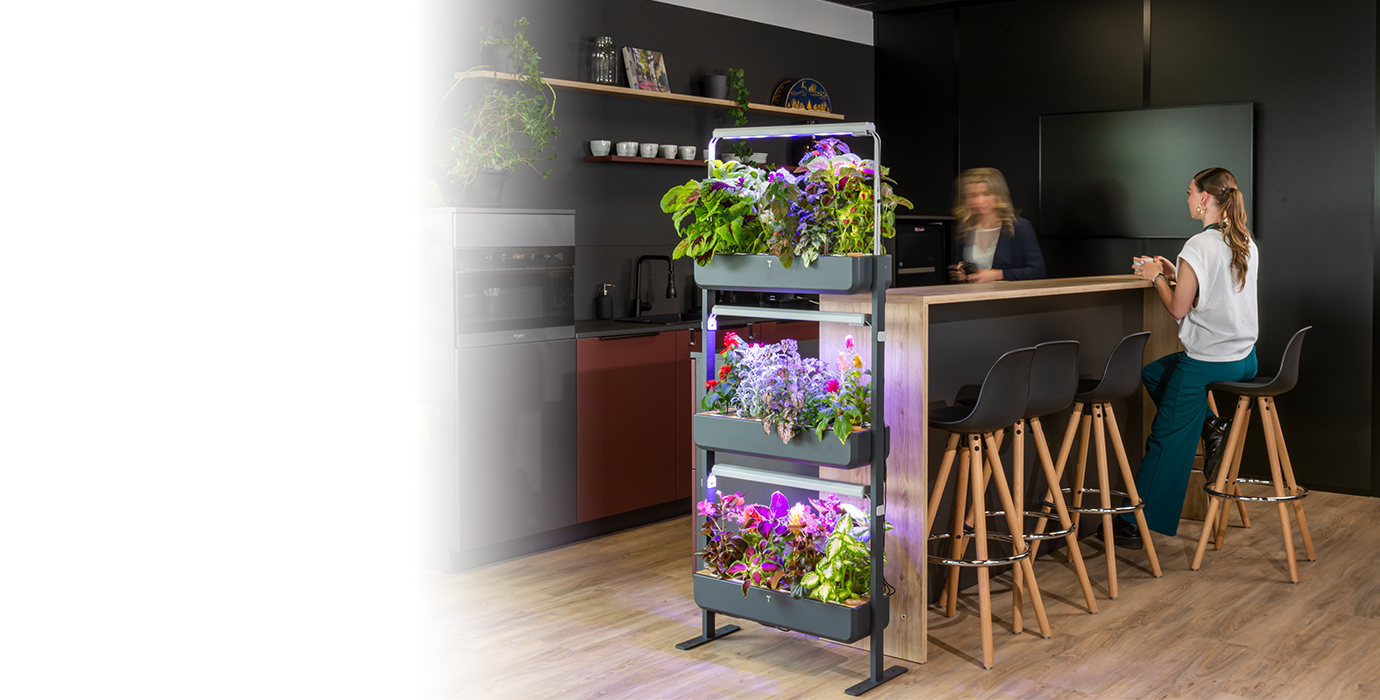 Gourmet permet de végétaliser de nombreux espaces en entreprise : cafétéria, showroom, salle de détente, salle de réunion...