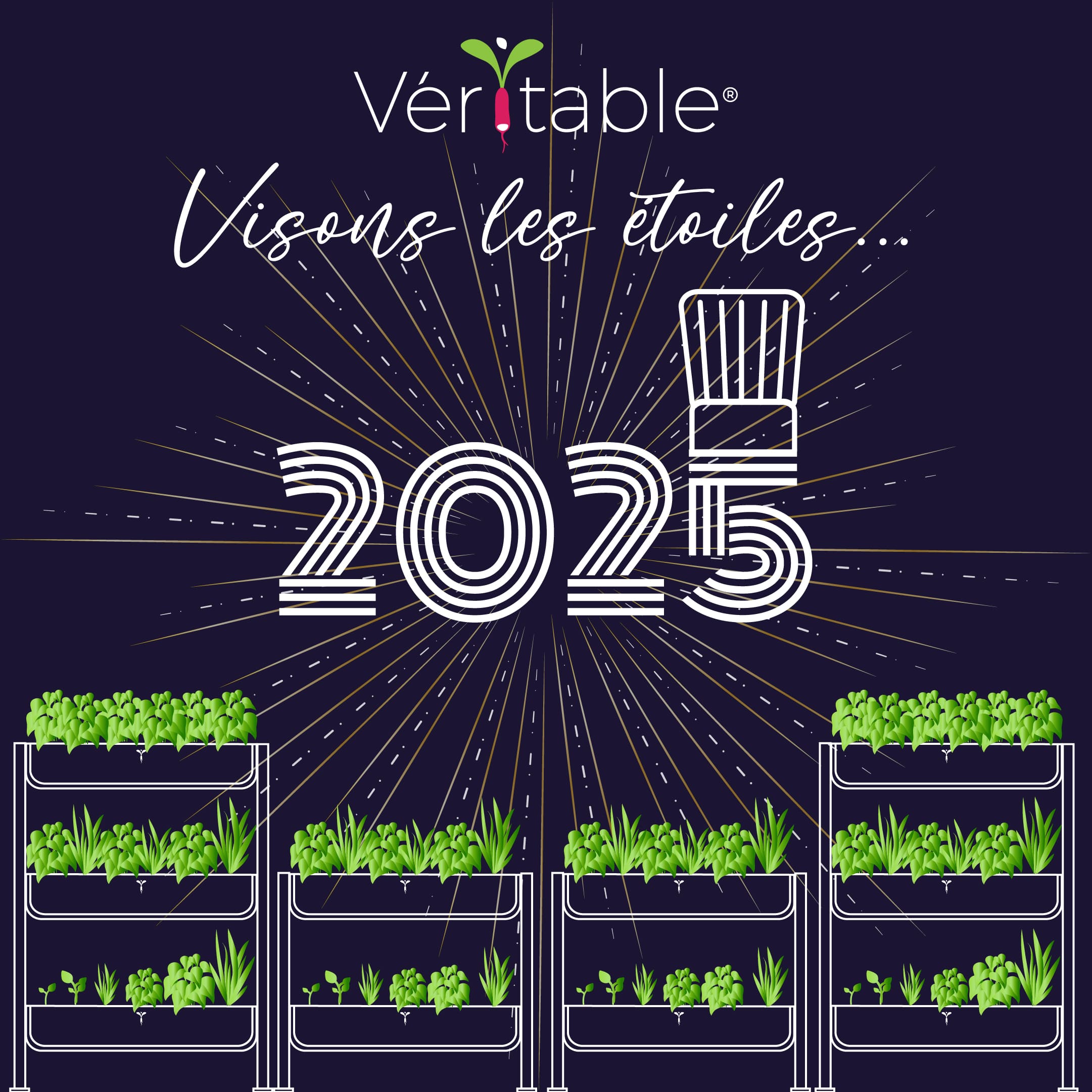 Toute l'équipe Véritable vous souhaite une savoureuse année 2025 !