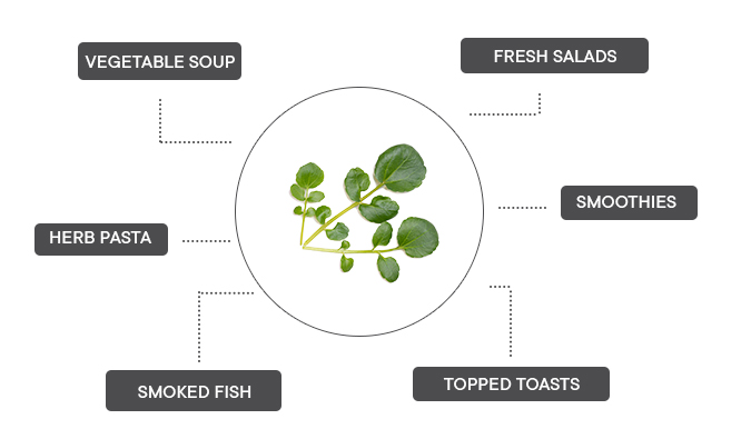 How to associate Watercress?