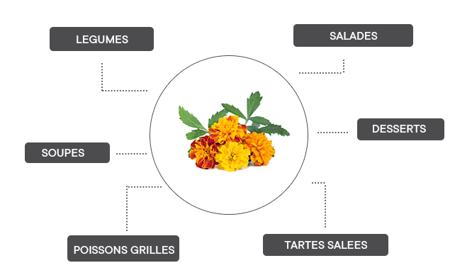 La pensée multicolore se prête bien aux salades, dans des cocktails, en infusion, sur des tartines, pour des gâteaux ou avec des fruits.