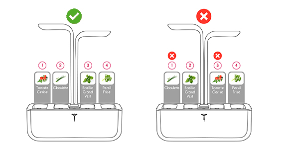 Tips for arranging your plants in your indoor garden