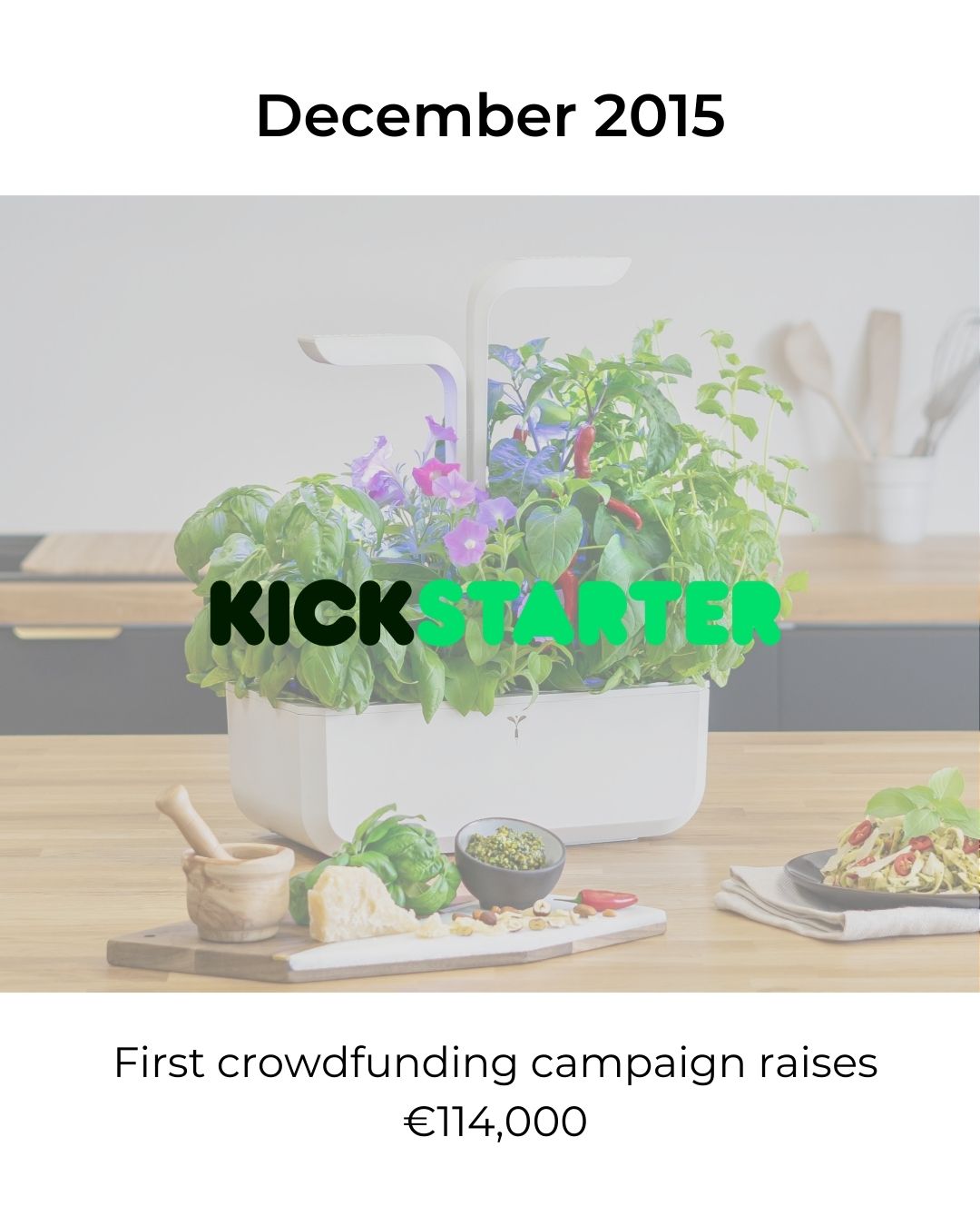 Kickstarter campaign