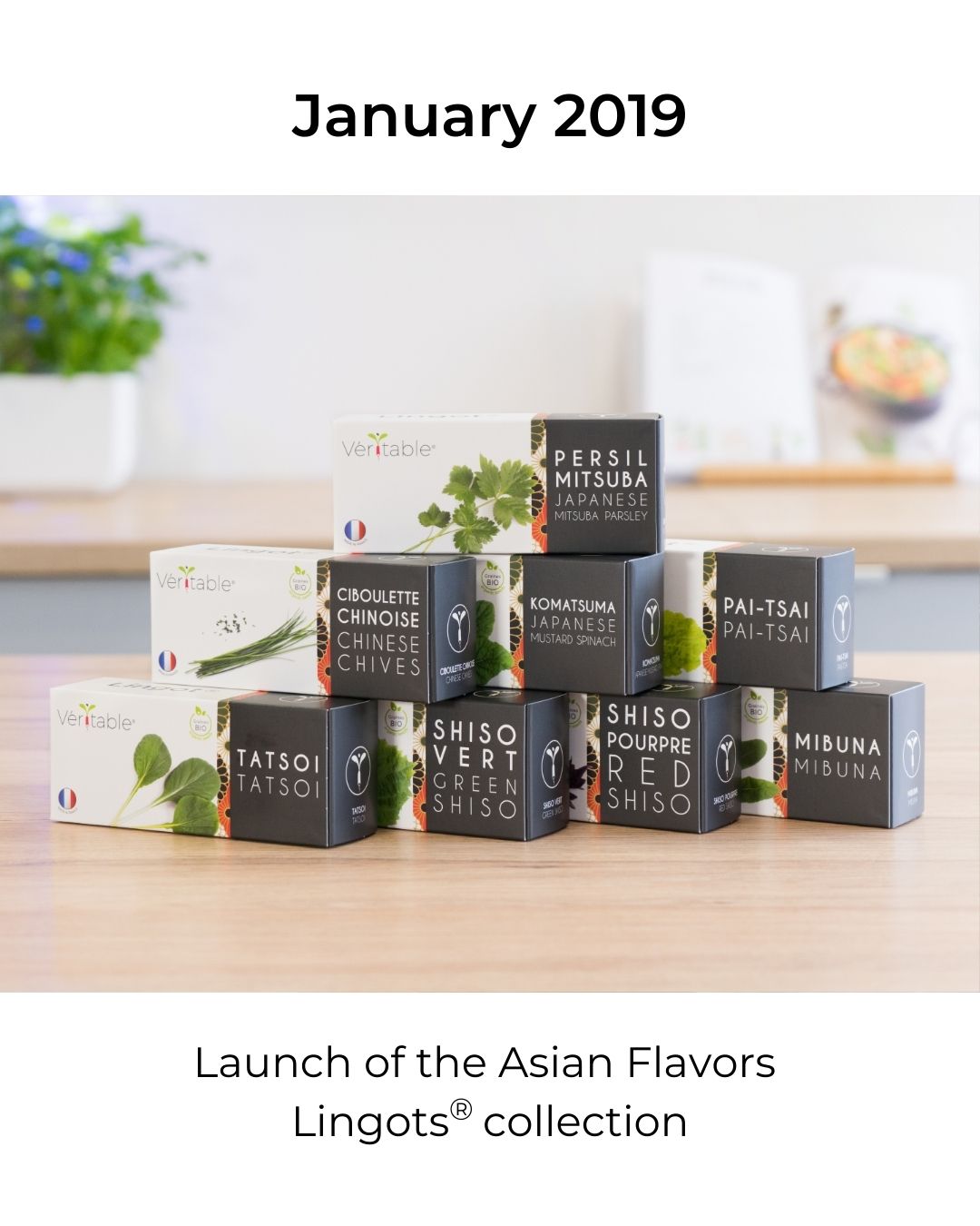 Launch of Asian flavors