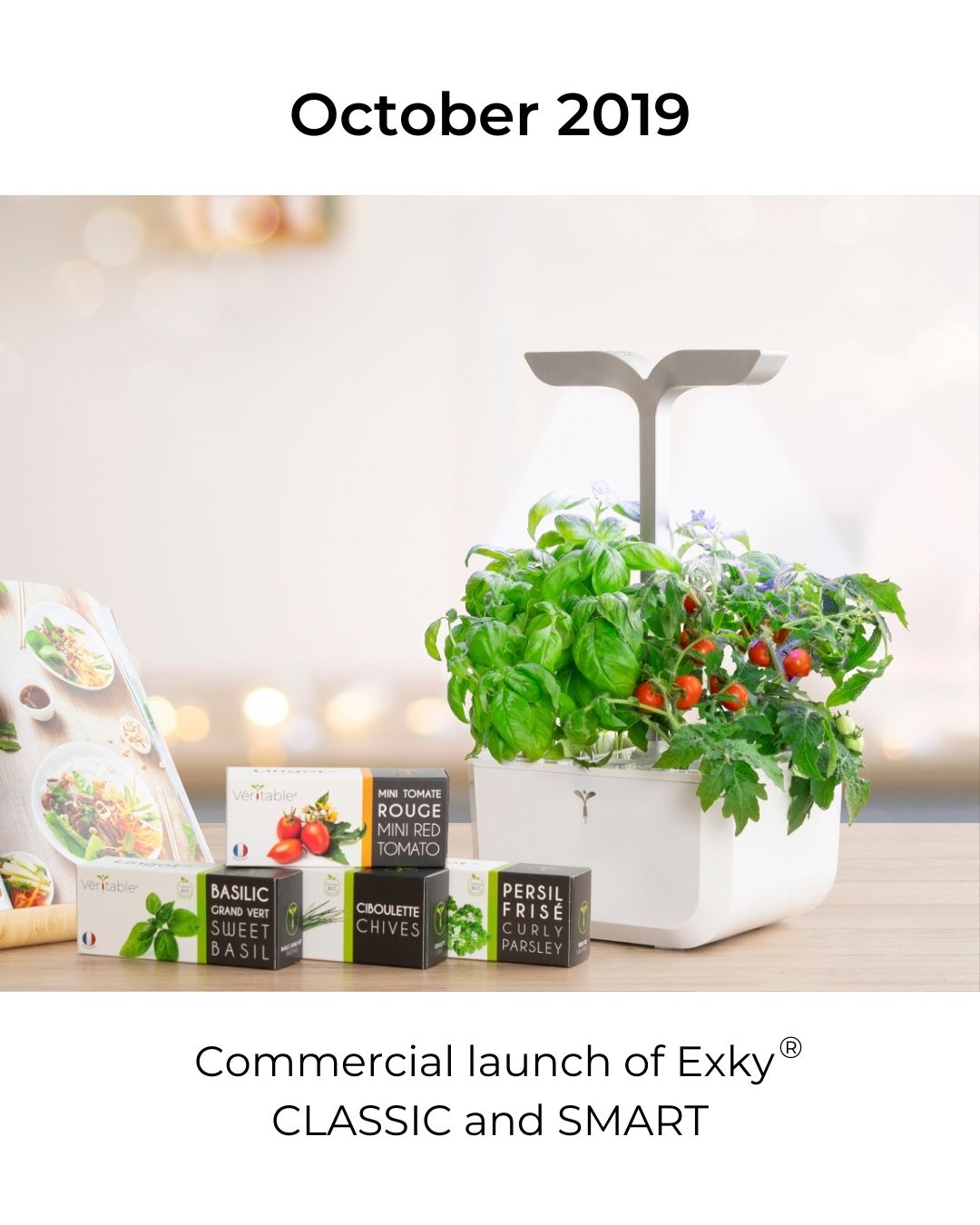 Launch of Exky