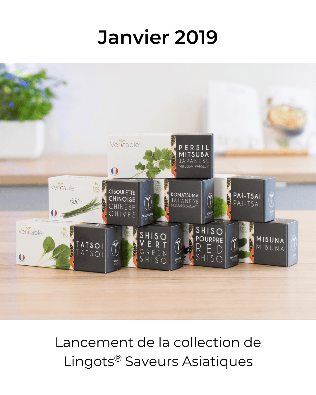 Lancement des saveurs asiatiques