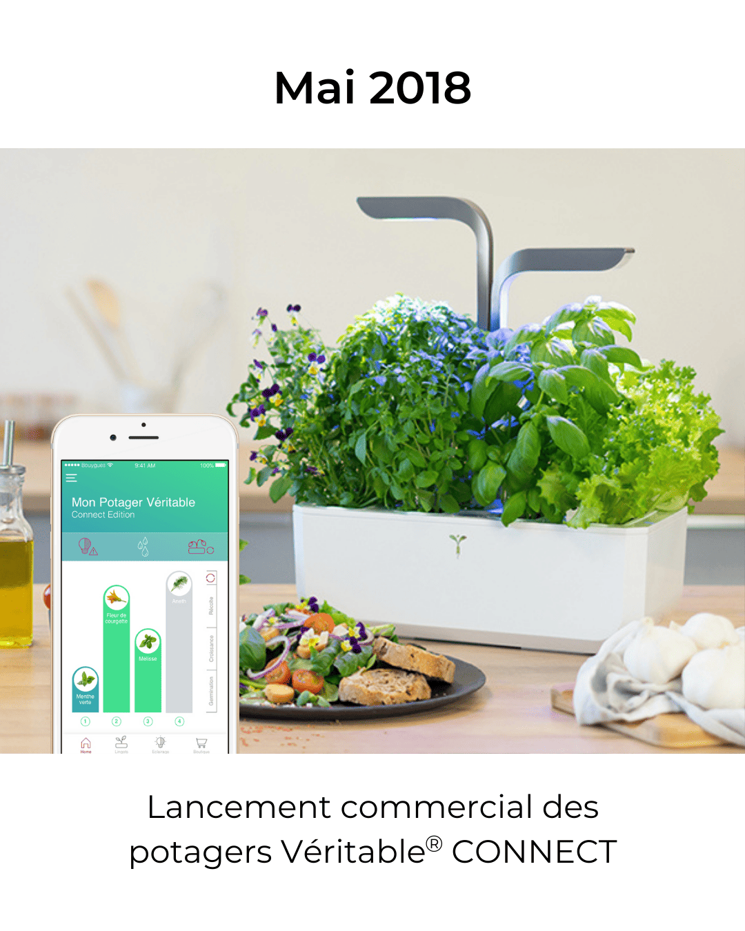 Lancement du Véritable CONNECT