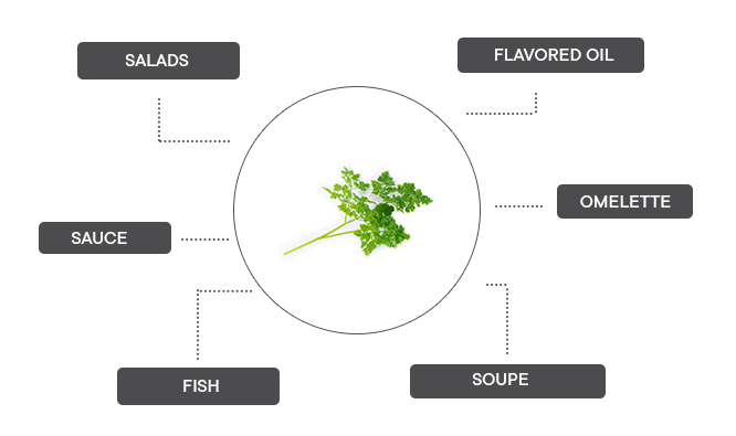 How can organic chervil be associated?