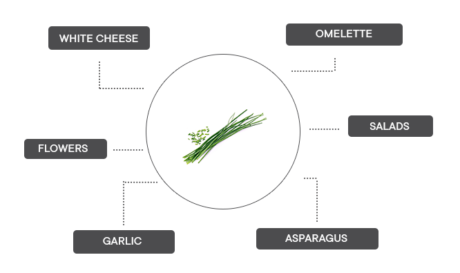 How can chives be associated?