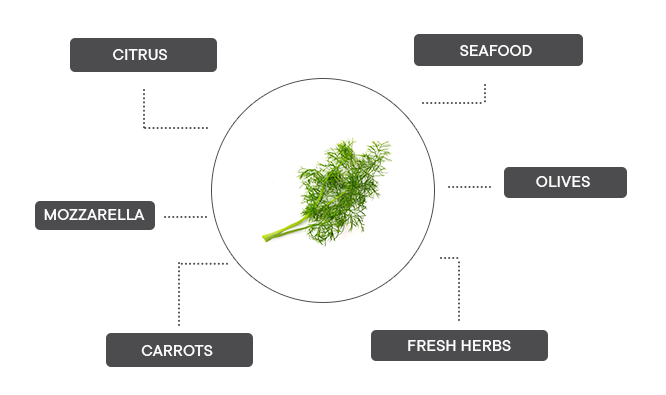 How can fennel be associated?