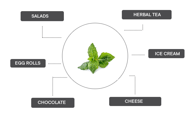 How can spearmint be associated?