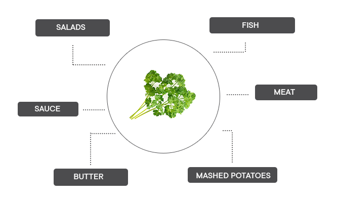 How can curly parsley be associated?