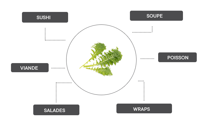 comment associer la moutarde wasabi ?