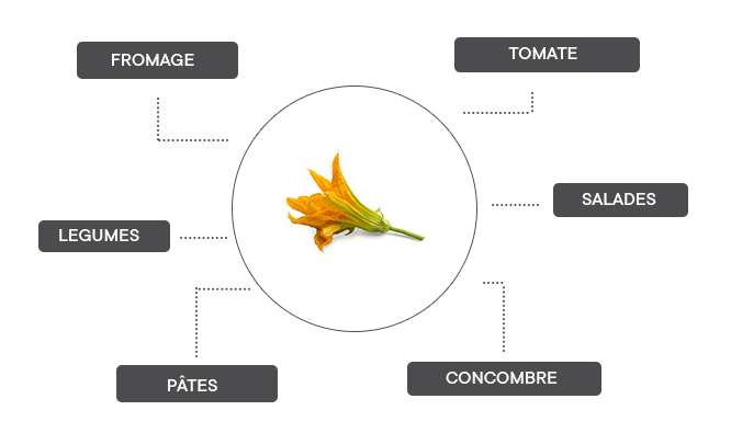 comment associer la fleur de courgette ?