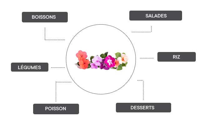 comment associer l'impatiens ? 