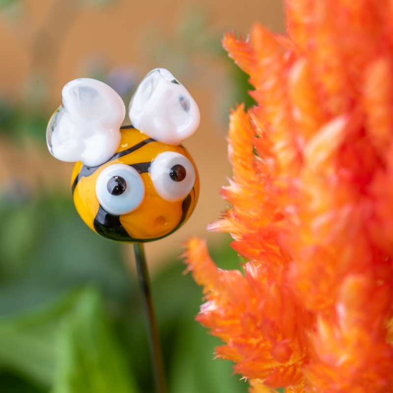 Tiny, bewildered bee