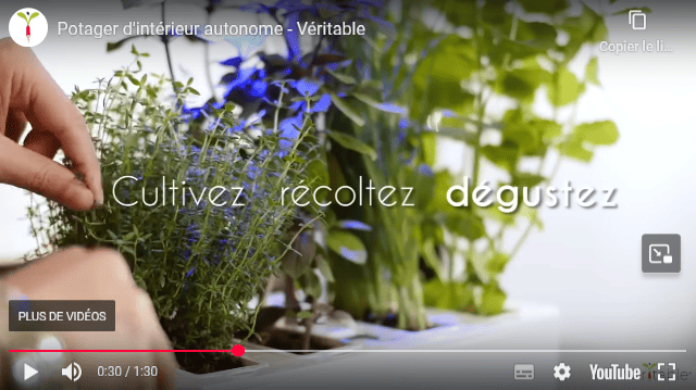 Découvrez le concept des potagers autonomes Véritable en vidéo