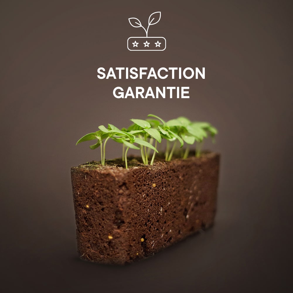 Garantie de germination des Lingots