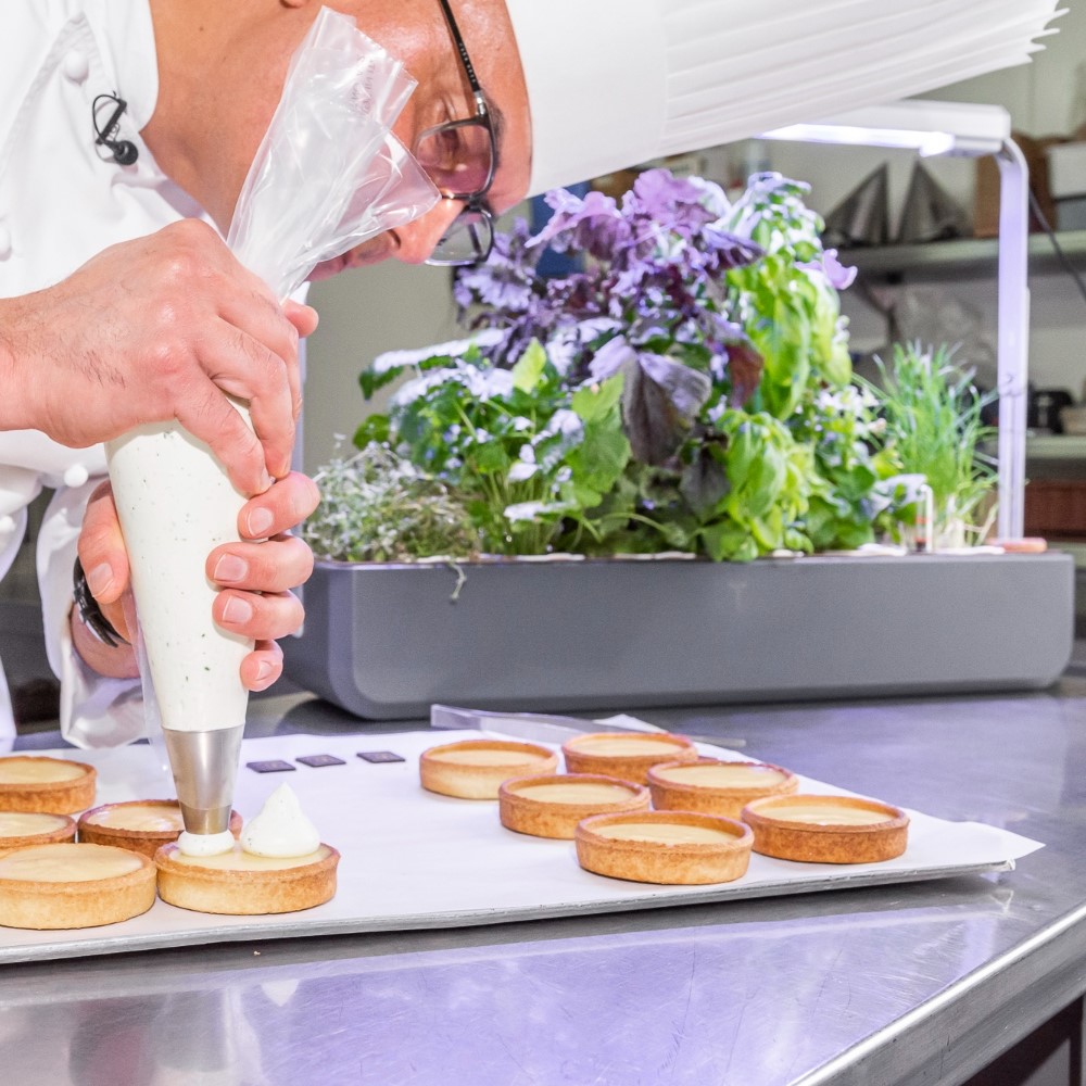 Chef Guzman finalisant ses tartes au citron avec les aromates Véritable