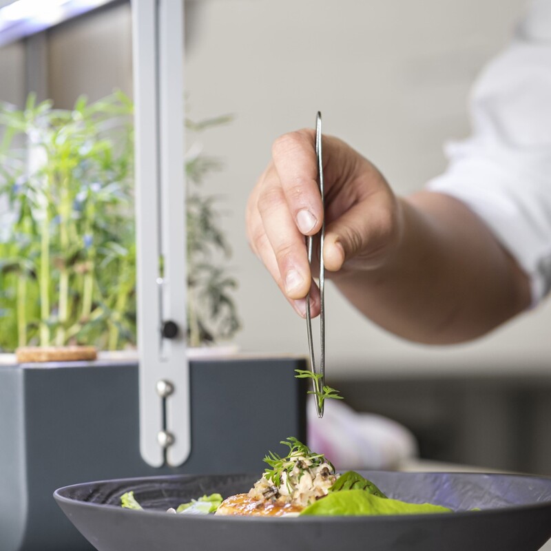 Microgreens served by the minute