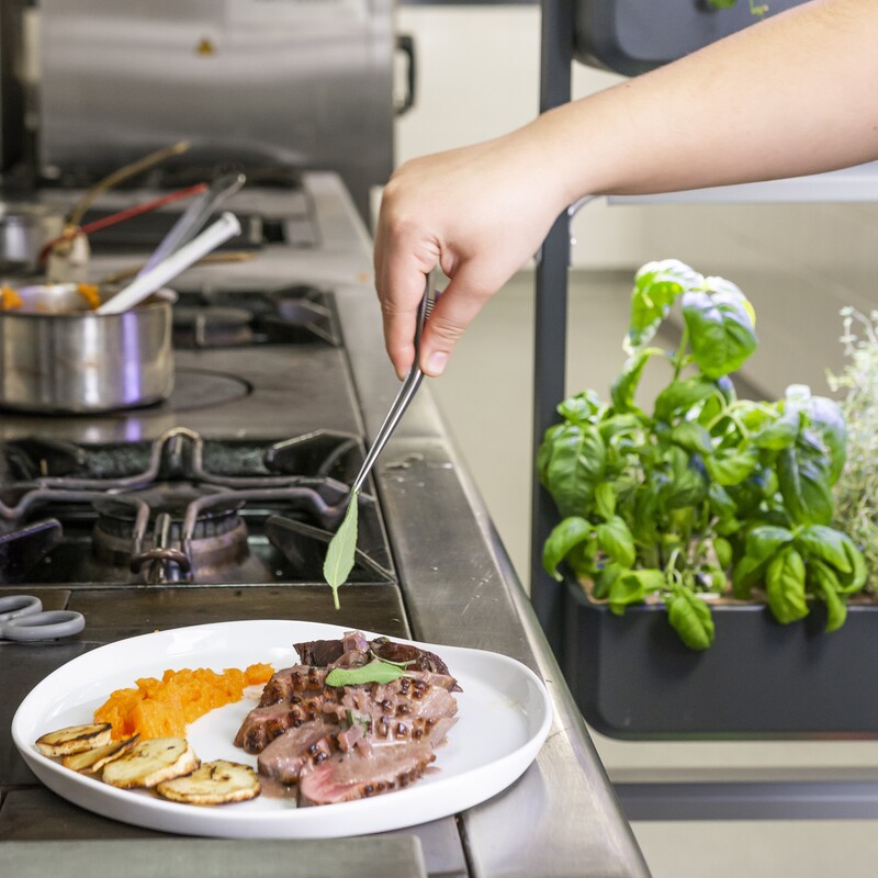 Dressing in the kitchen with Véritable herbs